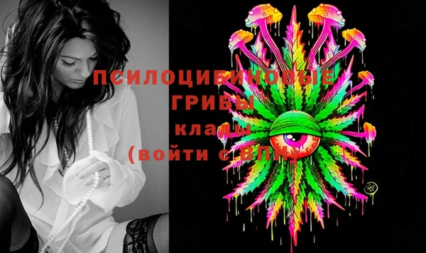 скорость Рославль