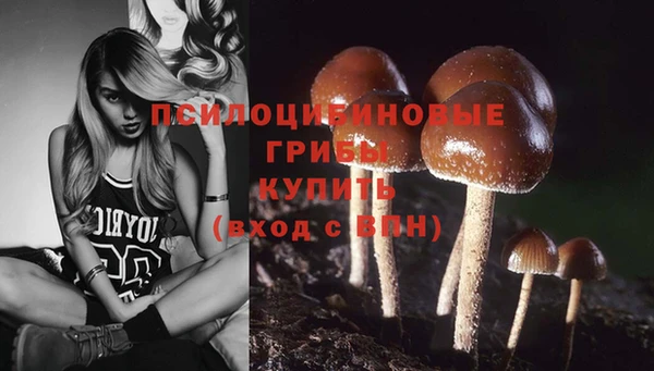 скорость Рославль