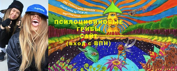 apvp Абаза